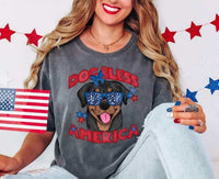 Dog bless America rottweiler 29915 DTF transfer