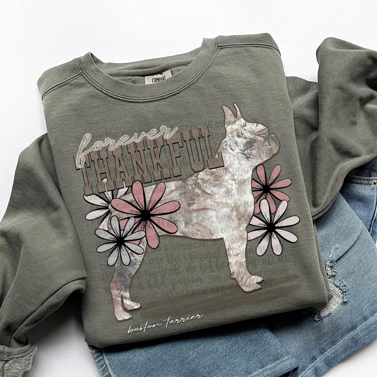 Forever Thankful Boston terrier (TTD) DTF transfer