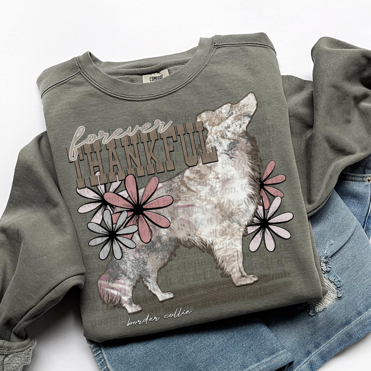 Forever Thankful border collie (TTD) DTF transfer