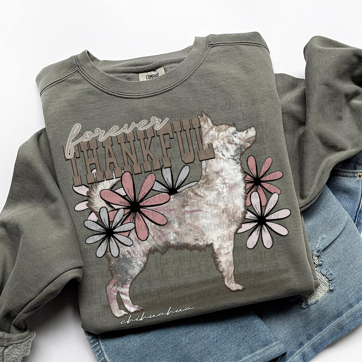 Forever Thankful chihuahua (TTD) DTF transfer