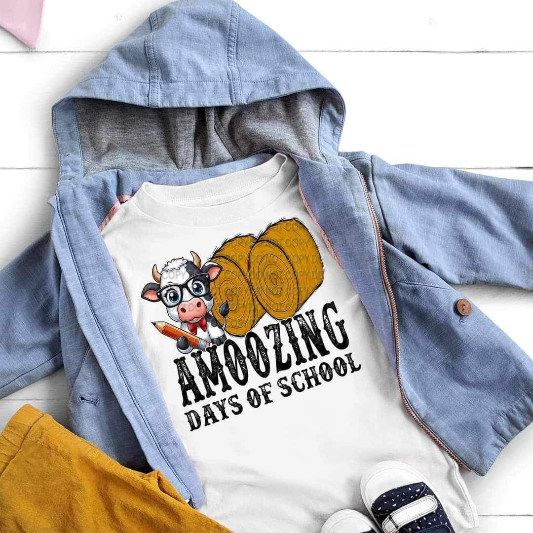 Amoozing days of school grunge 20624 DTF transfer