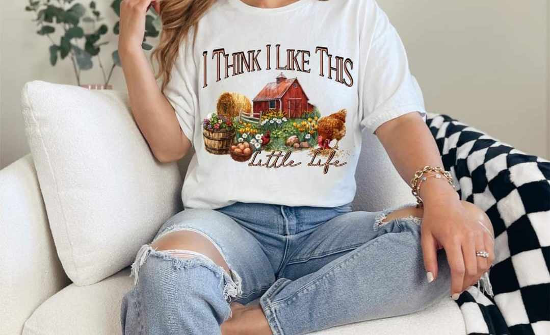 I think i like this little life (CSTAGE) 31138 DTF transfer