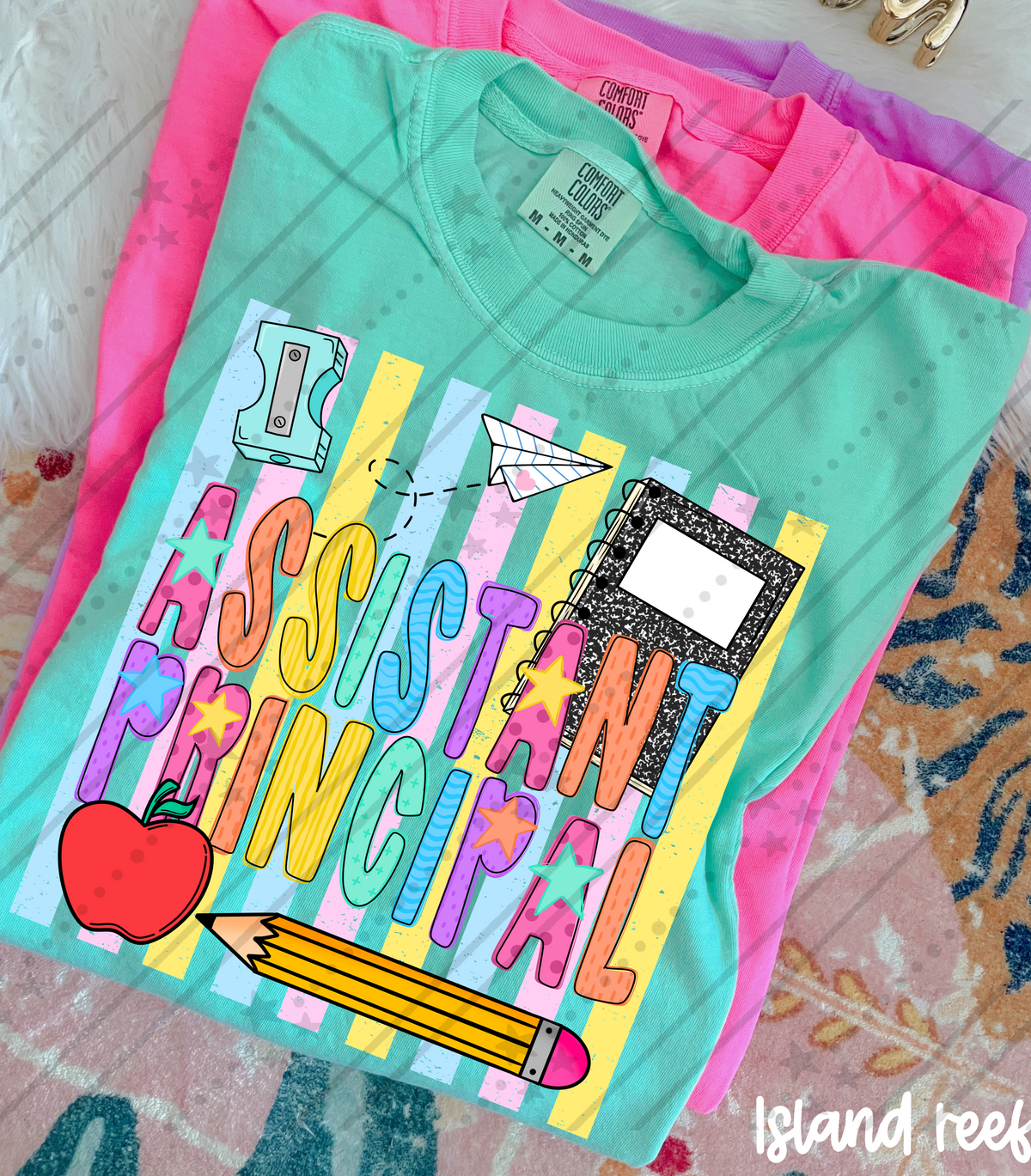 Assistant principal school items colorful stripes (Carter) DTF Transfer