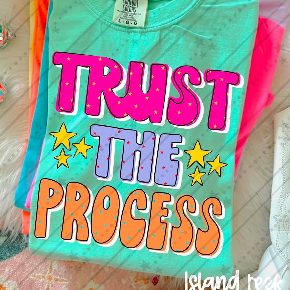 Trust the process pink purple and orange (Carter) DTF Transfer
