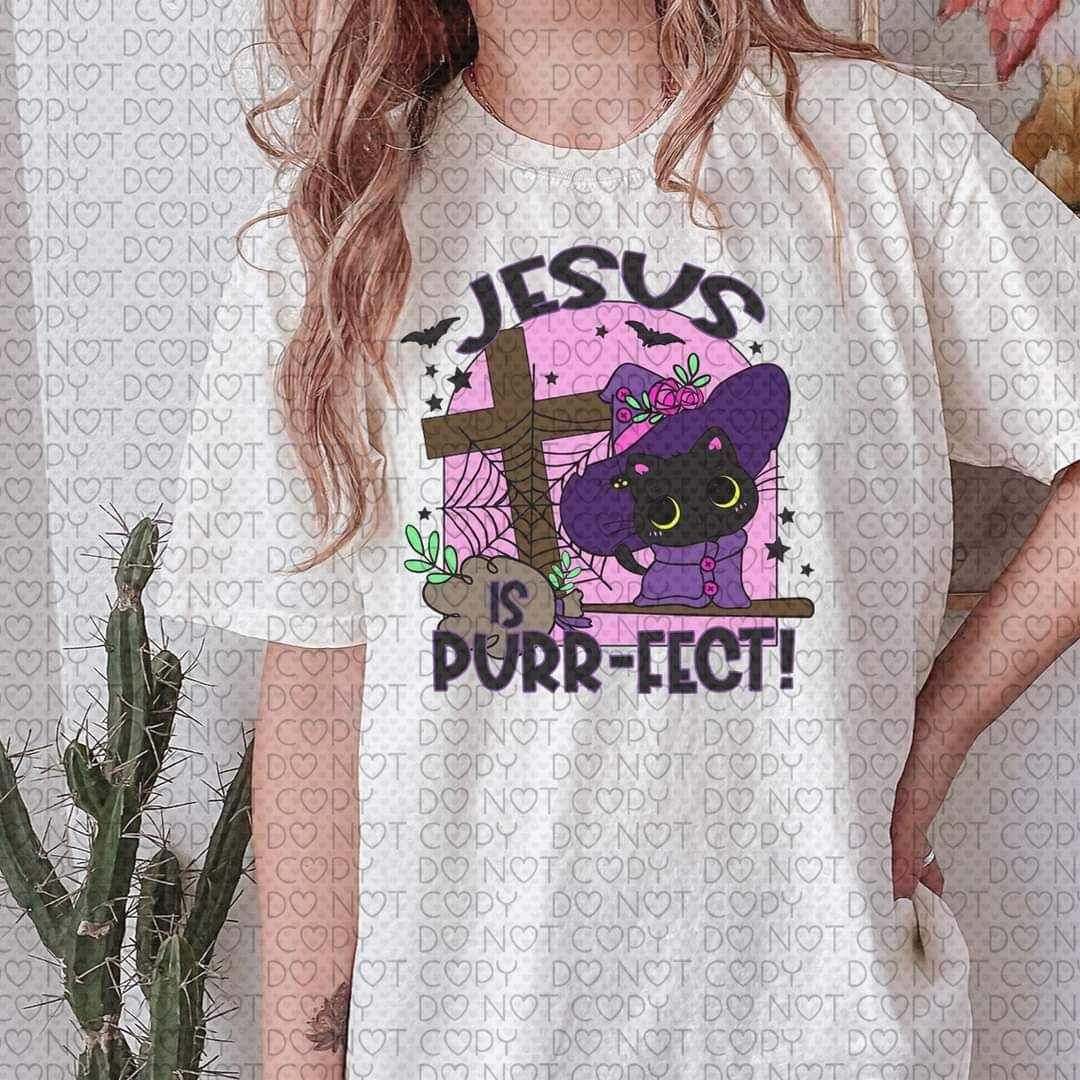 Jesus is purr-fect 10120 DTF TRANSFERS
