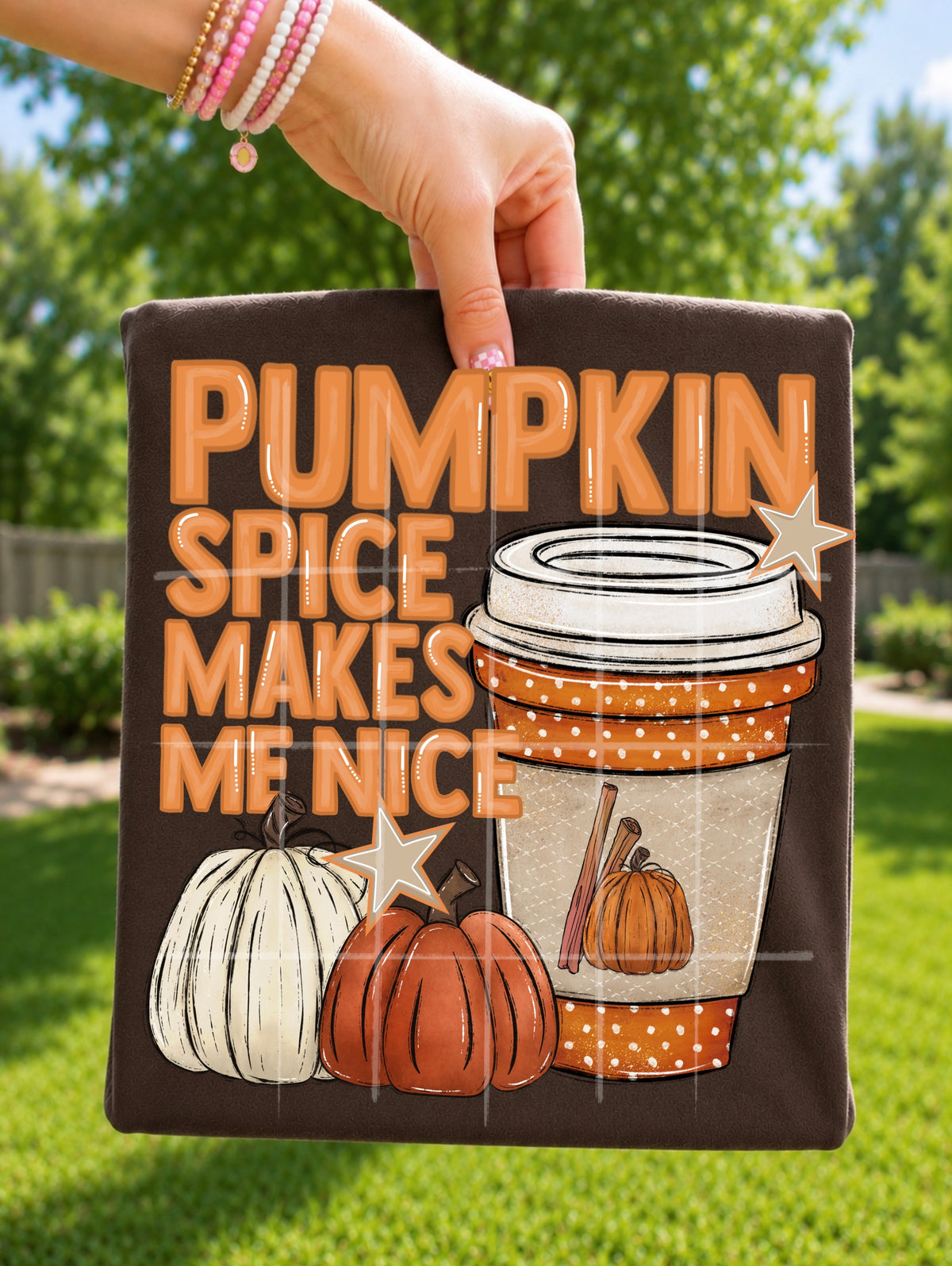 Pumpkin spice makes me nice (TDC) DTF Transfer