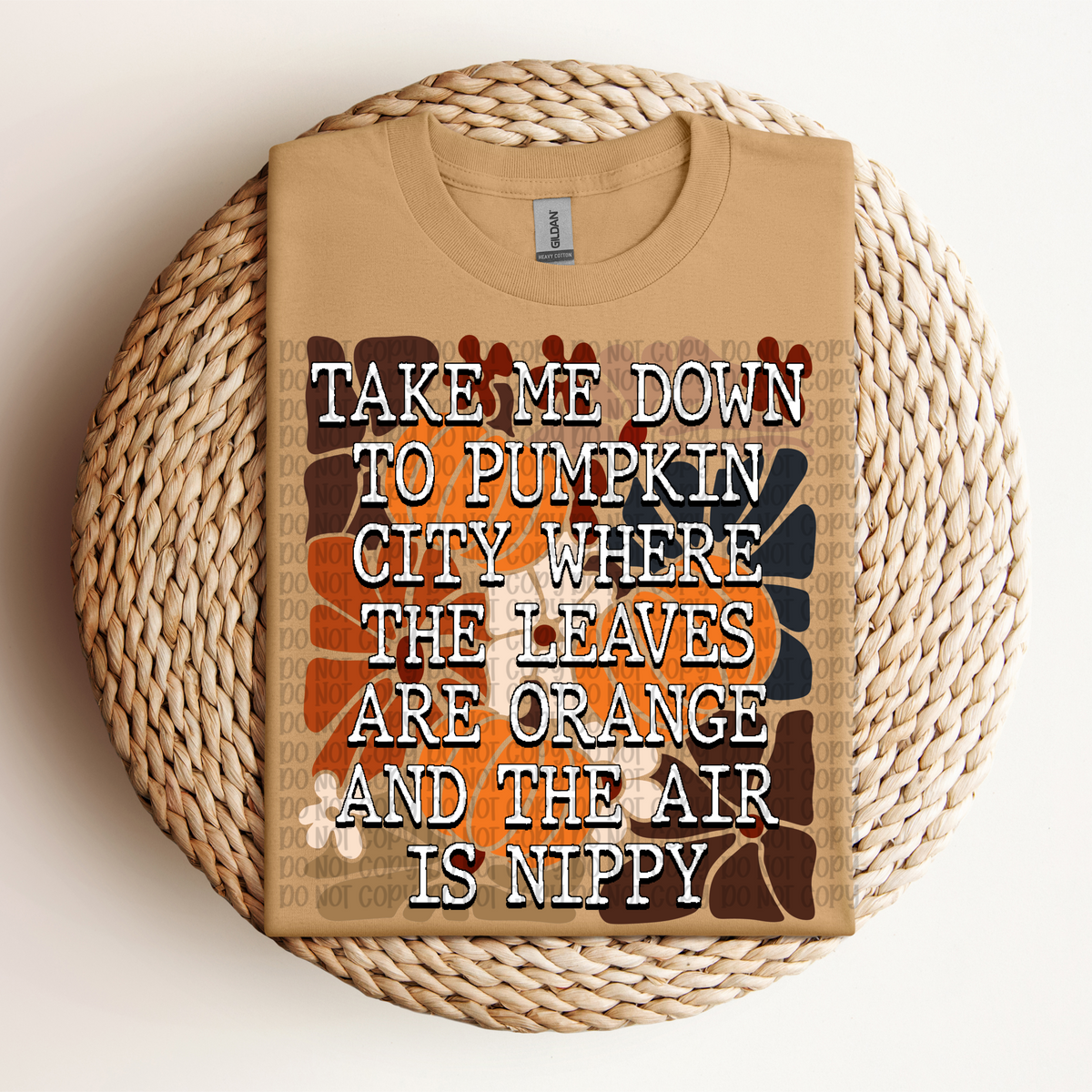 Take me down to pumpkin city (VP) 102811 DTF transfer