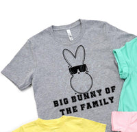 Big bunny of the family (VIRGO) 34784 DTF transfer