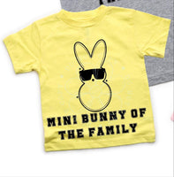 Mini bunny of the family (VIRGO) 34785 DTF transfer