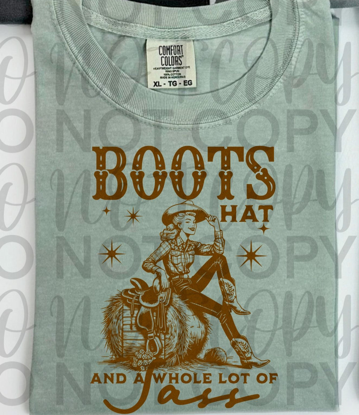 Boots, Hat, and a whole lot of sass GOLD (Starlight) DTF transfer