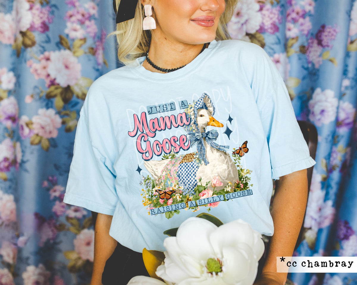 Mother goose raising A silly goose (PH) DTF Transfer