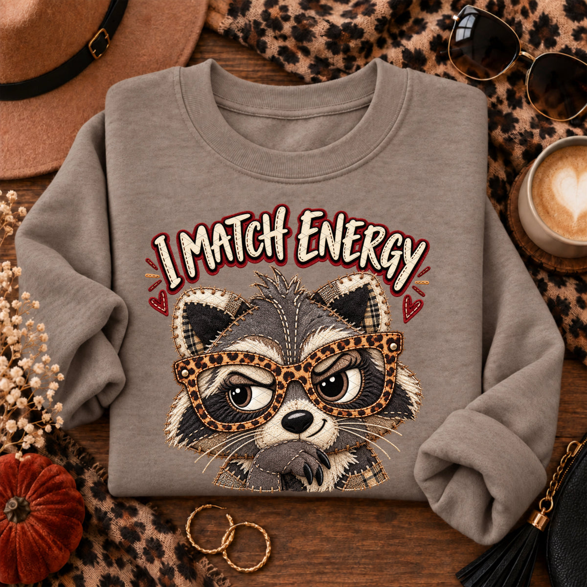 I match energy raccoon (SDD) DTF Transfer
