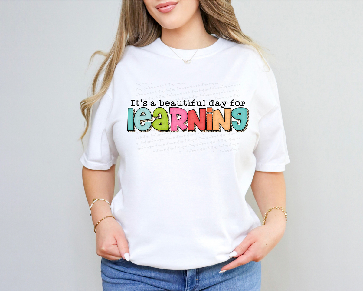 It's A Beautiful Day For Learning Boho Font 116472 DTF Transfer