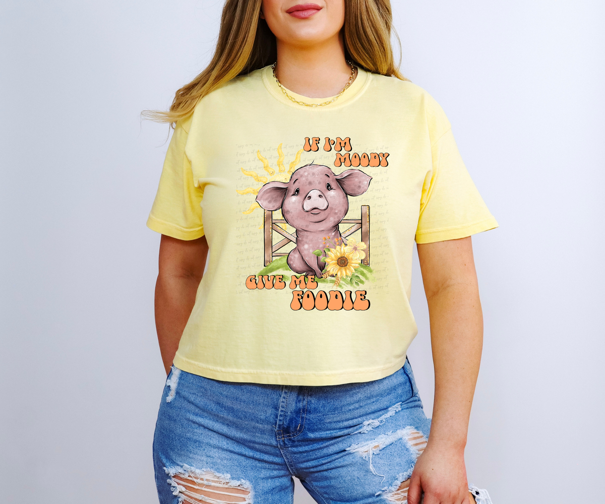If I'm Moody Give Me Foodie Pig 115790 DTF TRANSFER