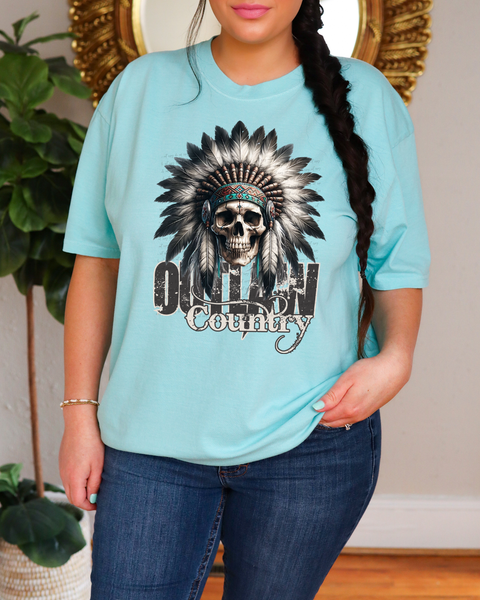 Indian Chief Skull Outlaw Country 61960 DTF transfer