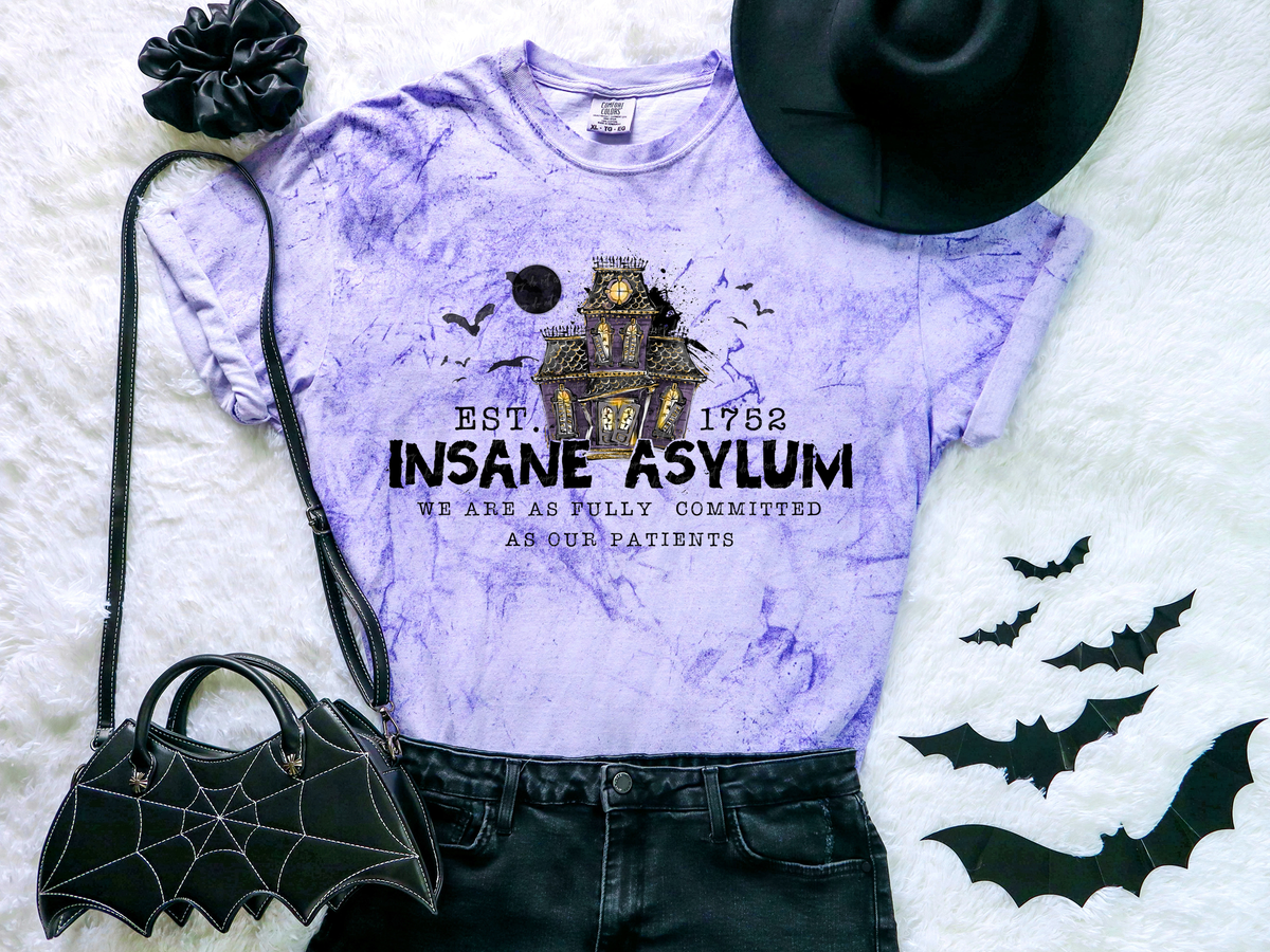 Insane Asylum We Are Fully Committed As Our Patients Haunted House 115794 DTF TRANSFER