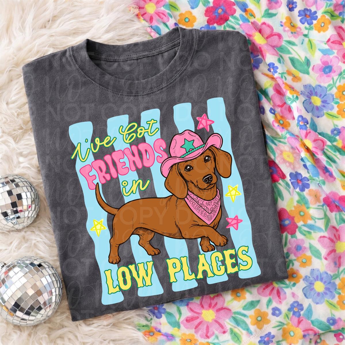 I've got friends in low places wiener dog (UAC) DTF Transfer
