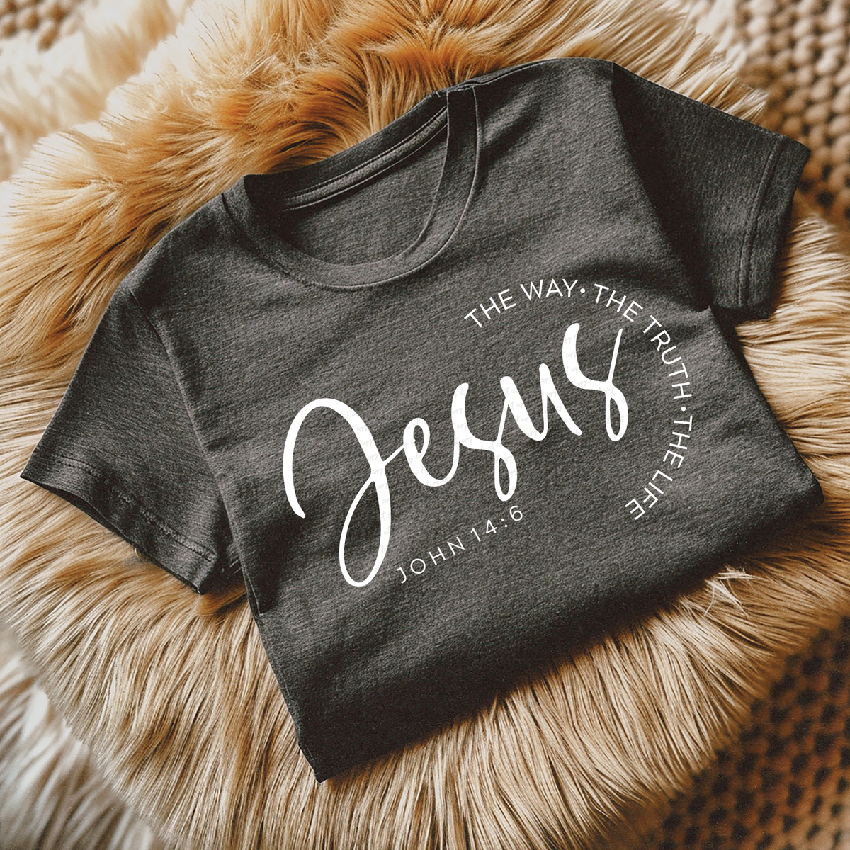 Jesus The Way The Truth The Life WHITE 110035 DTF transfer