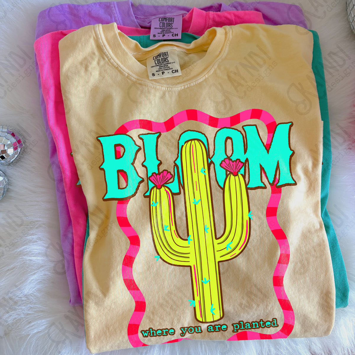 Bloom where you are planted cactus (Kayndi) DTF Transfer