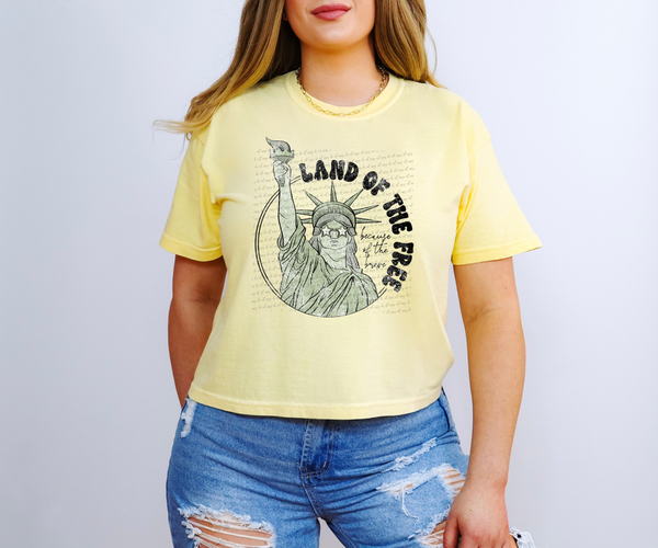 Land of The Free Because of The Brave Statue of Liberty 74539 DTF Transfer