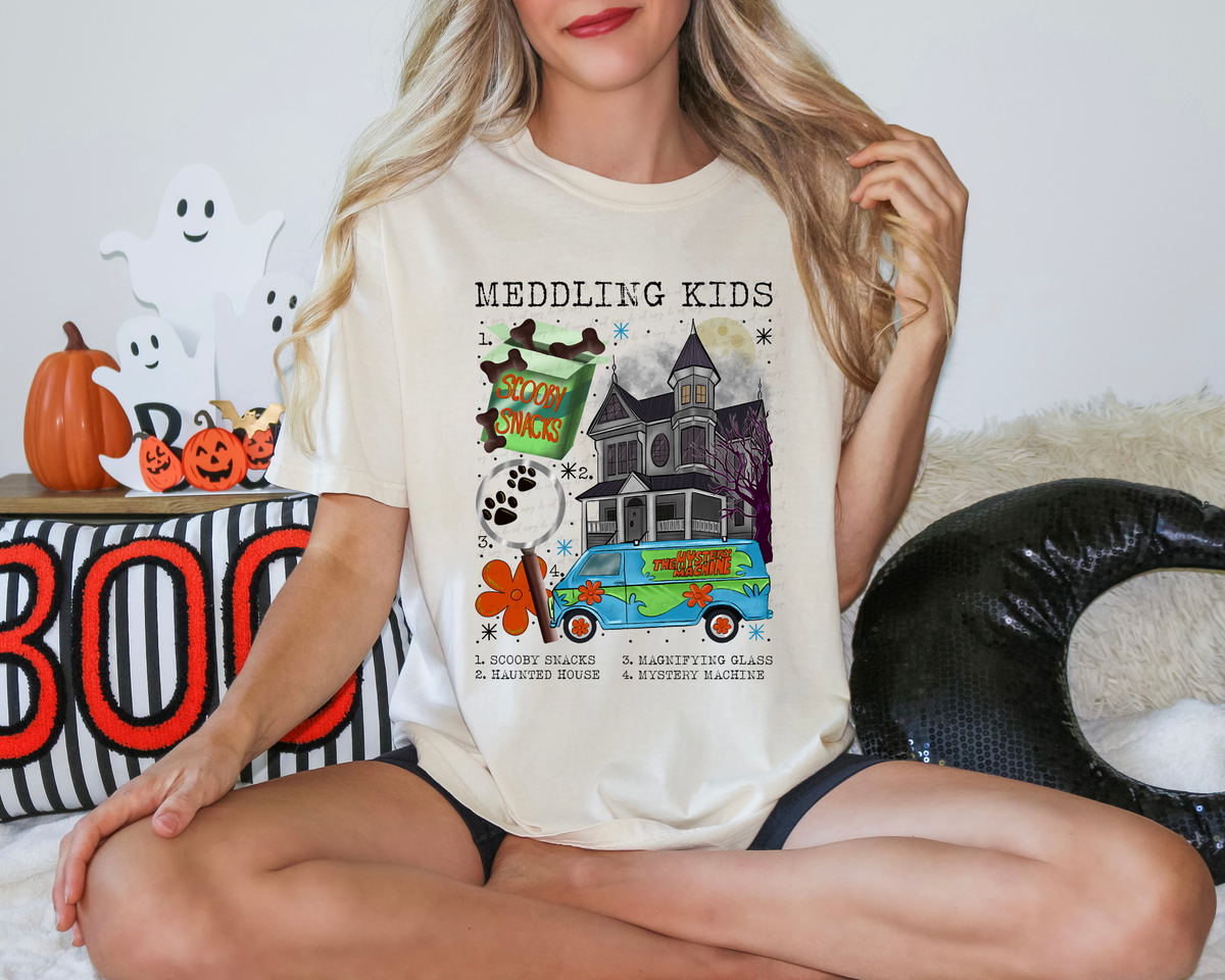 Meddling Kids Scooby Chart 114633 DTF transfer