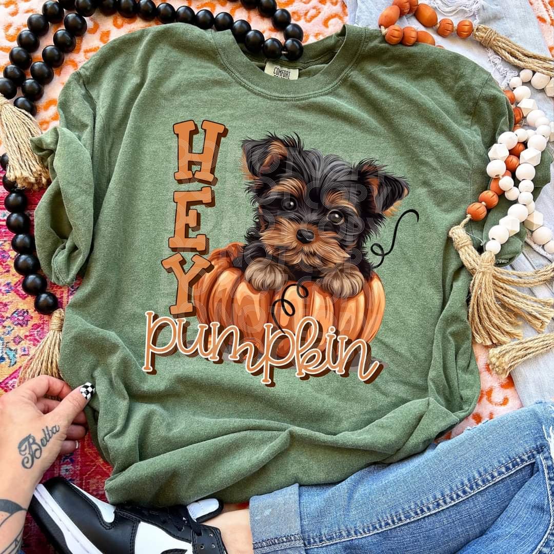 Hey pumpkin Yorkie (SSD) 44788 DTF transfer