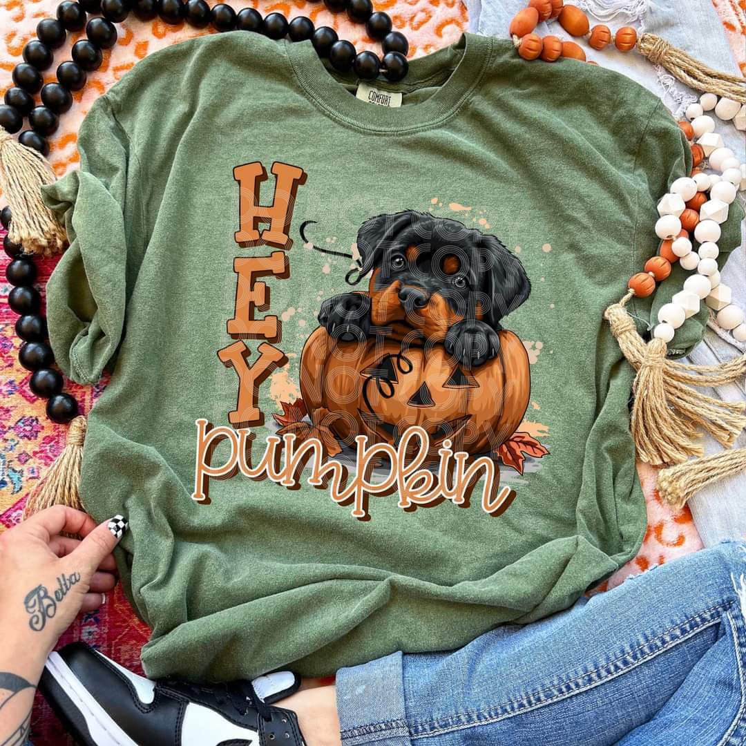 Hey pumpkin Rottweiler (SSD) 44789 DTF transfer