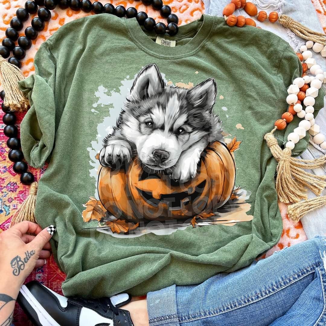 Husky with pumpkin (SSD) 44791 DTF transfer