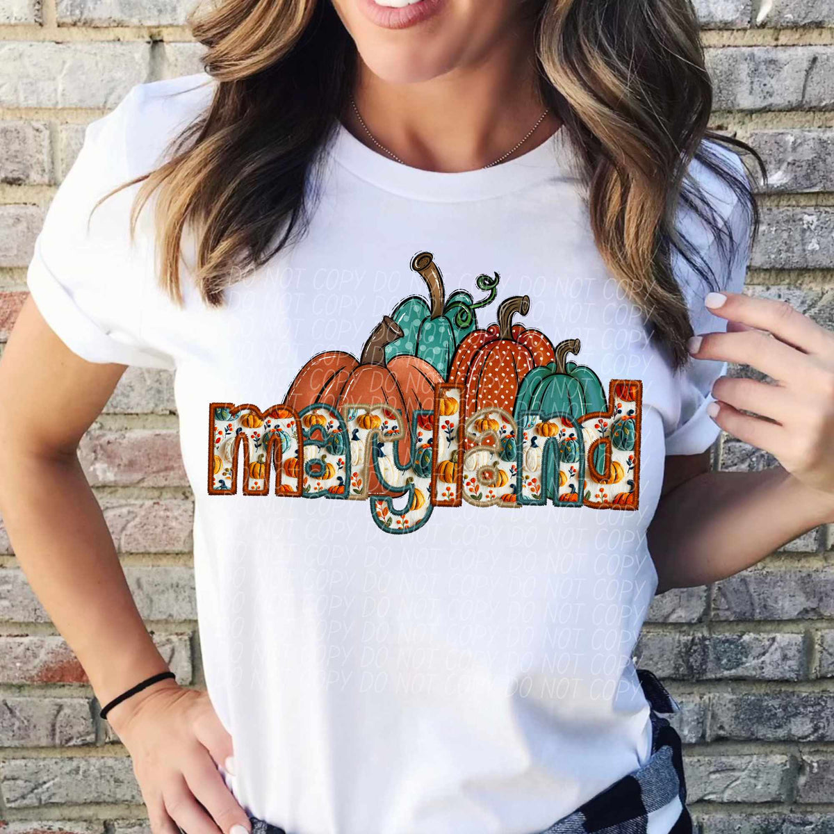 Maryland fall filled with pumpkins (CITY) 41553 DTF transfer