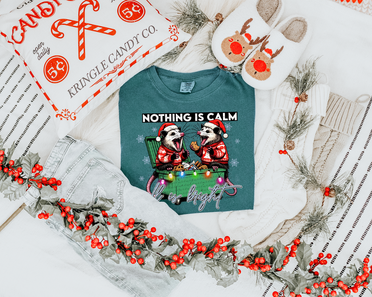 Nothing is Calm All is Bright 66138 DTF transfer