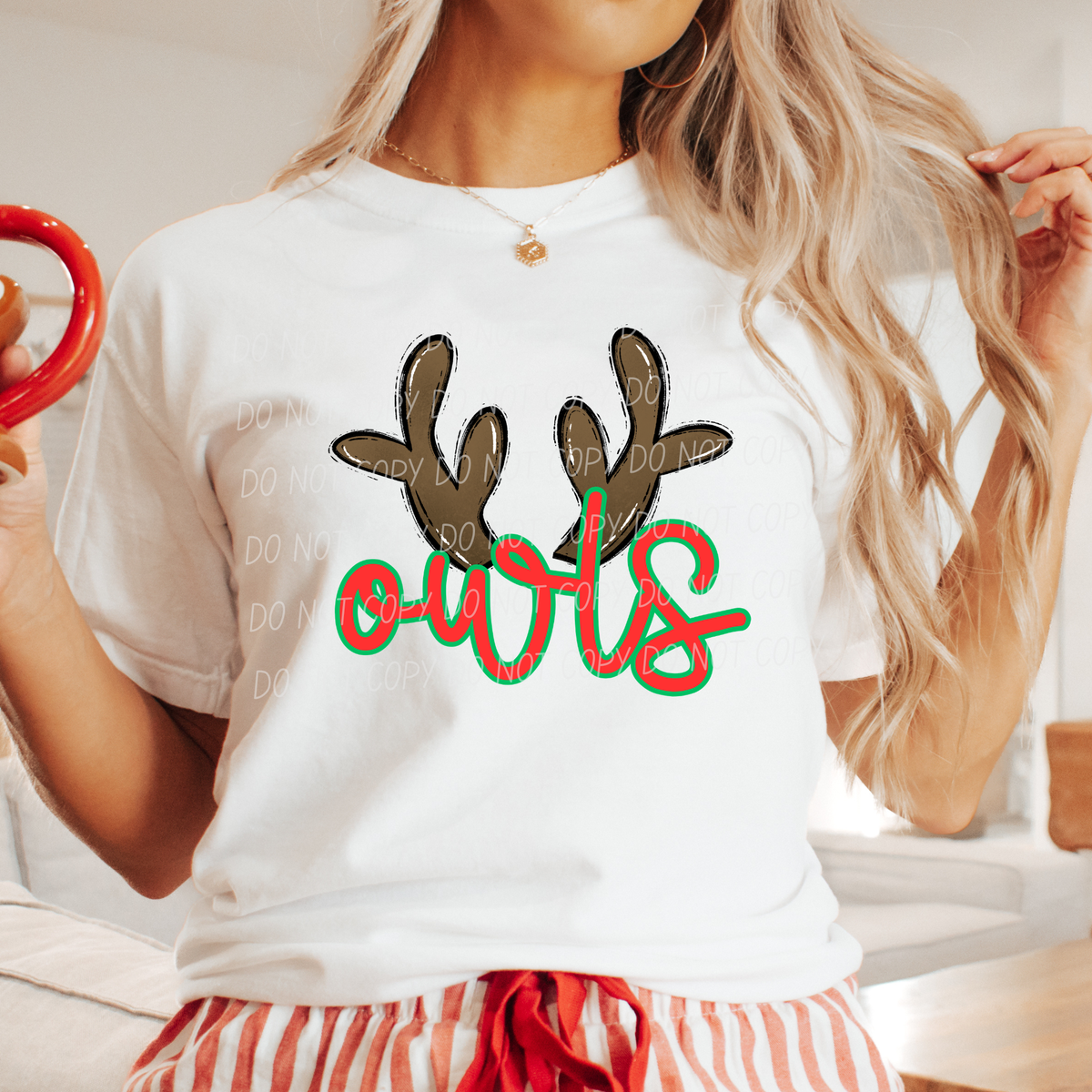 Owls with reindeer antler (city) DTF Transfer