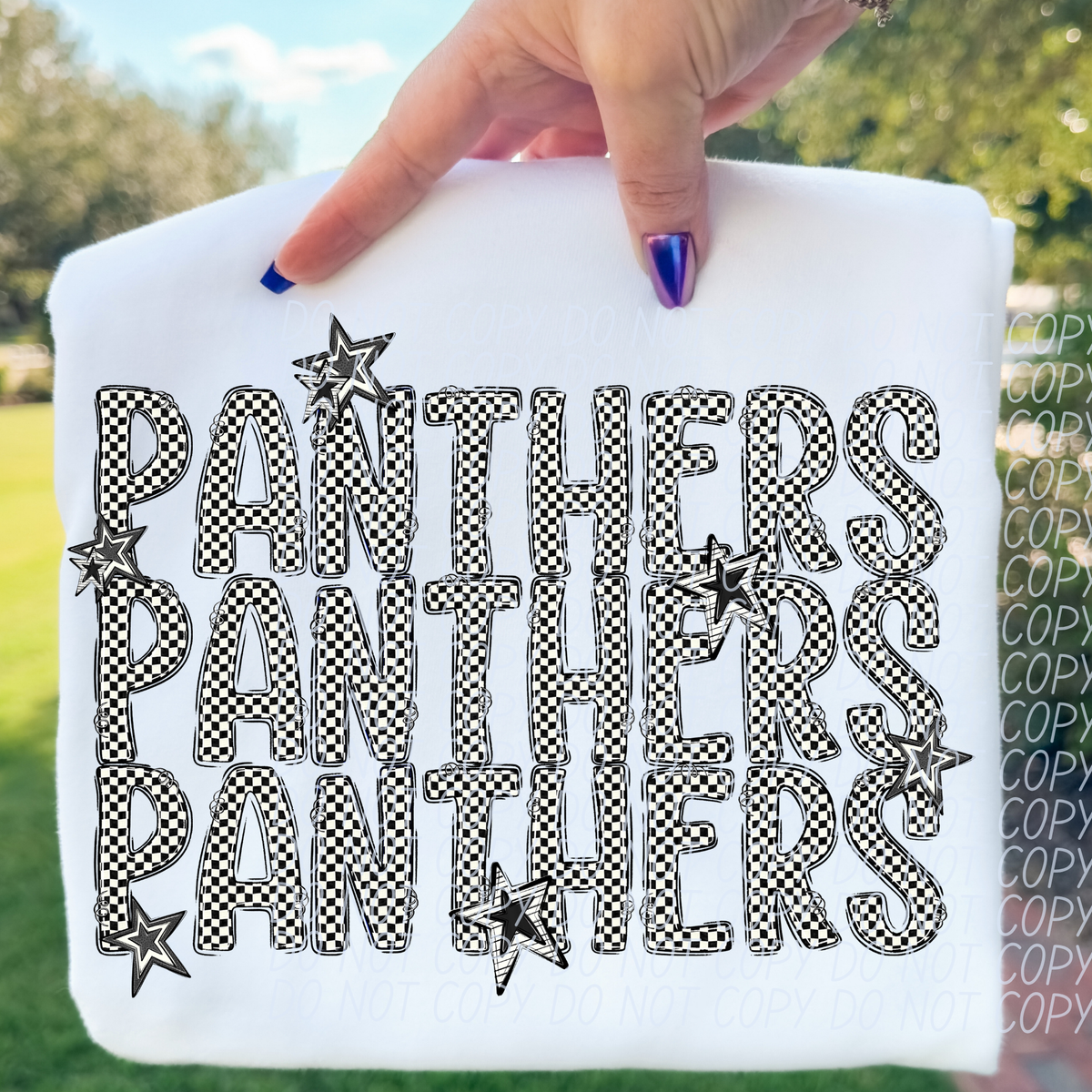 Panthers checker star stacked (City)DTF transfer
