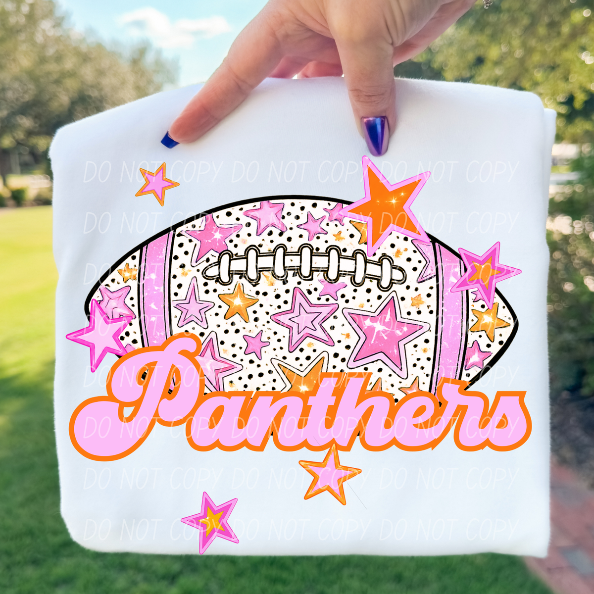 Panthers pink football (city) DTF transfer
