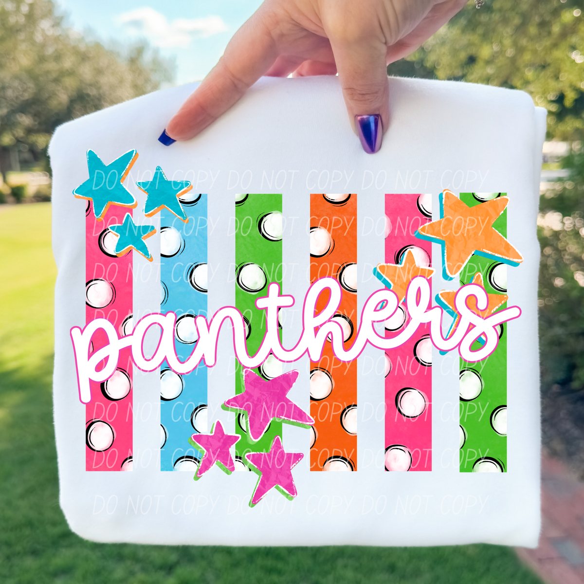 panthers polkadot pride (city) DTF Transfer