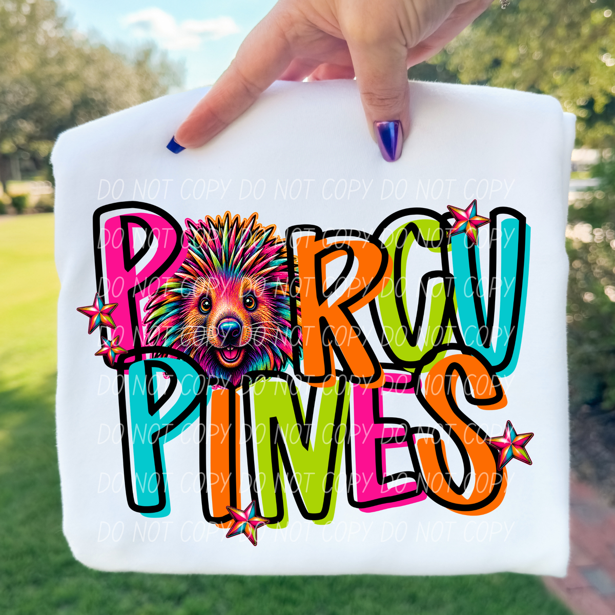 porcupines rainbow stacked with head (city) DTF Transfer