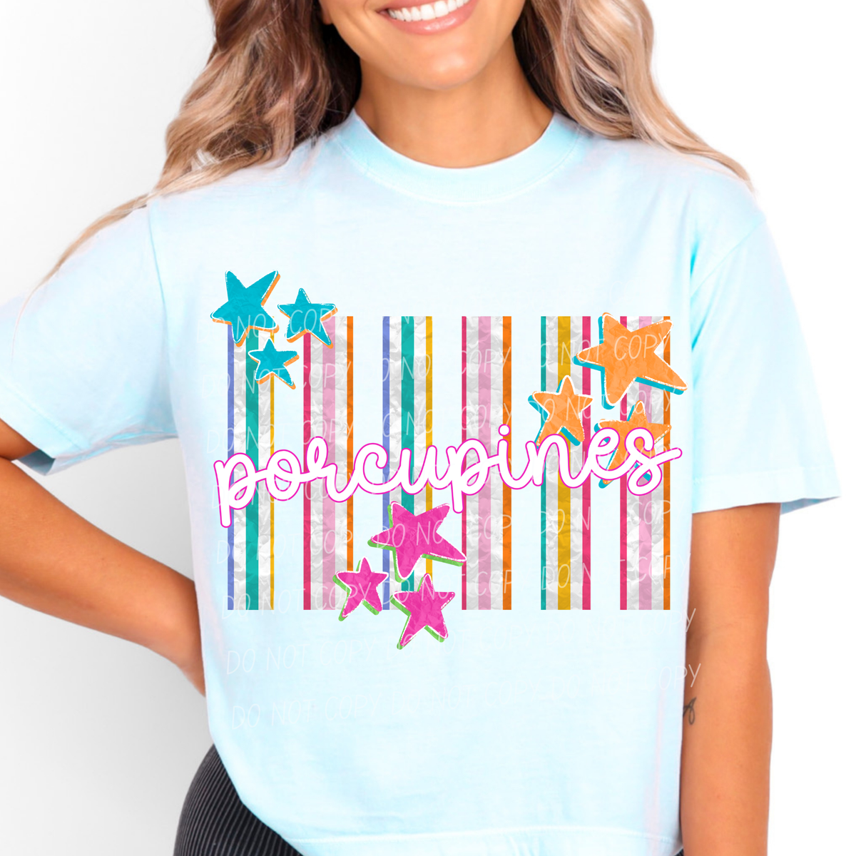 porcupines spirit stripes (city) DTF Transfer