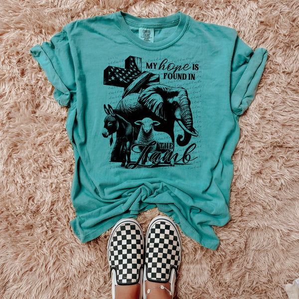 My home is found in the Lamb DTF transfer