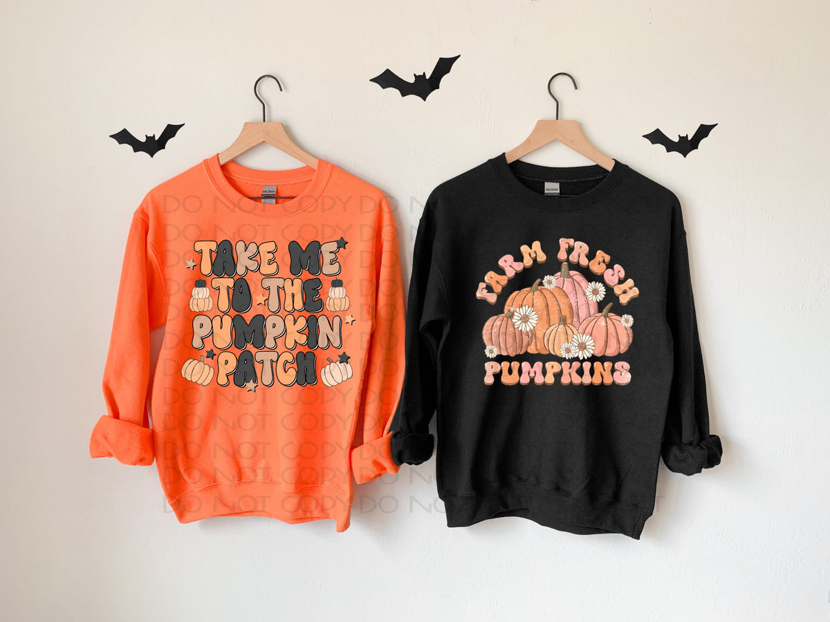 Farm Fresh Pumpkins retro 5 pumpkins, daises 8058 DTF TRANSFER