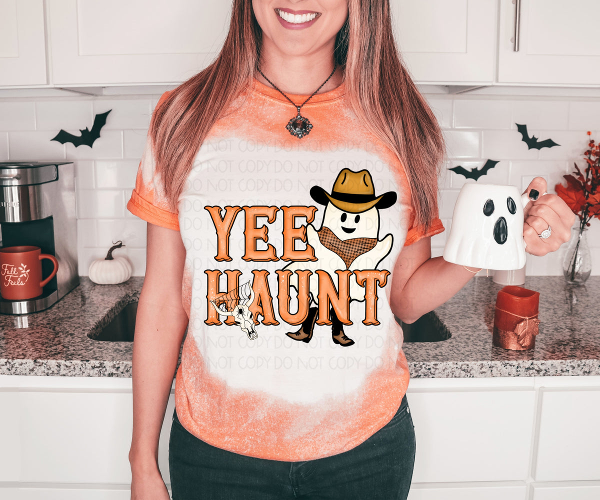 Yee haunt (ghost with skull and spider web) DTF TRANSFER