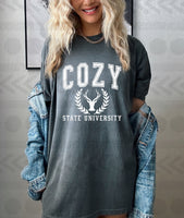 Cozy state universoty WHITE 14126 DTF transfer