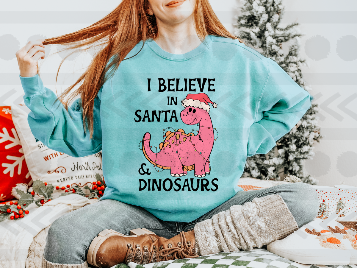 I believe in santa & dinosaurs GIRL 14518 DTF Transfer