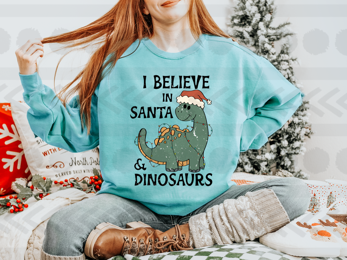 I believe in santa & dinosaurs BOY 14517 DTF Transfer