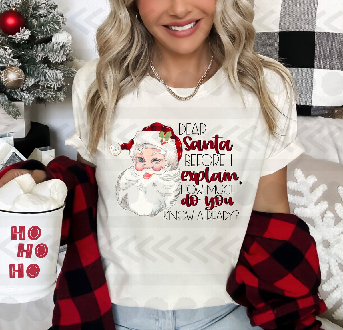 Dear santa before i explain how much do you know already? 14850 DTF transfer