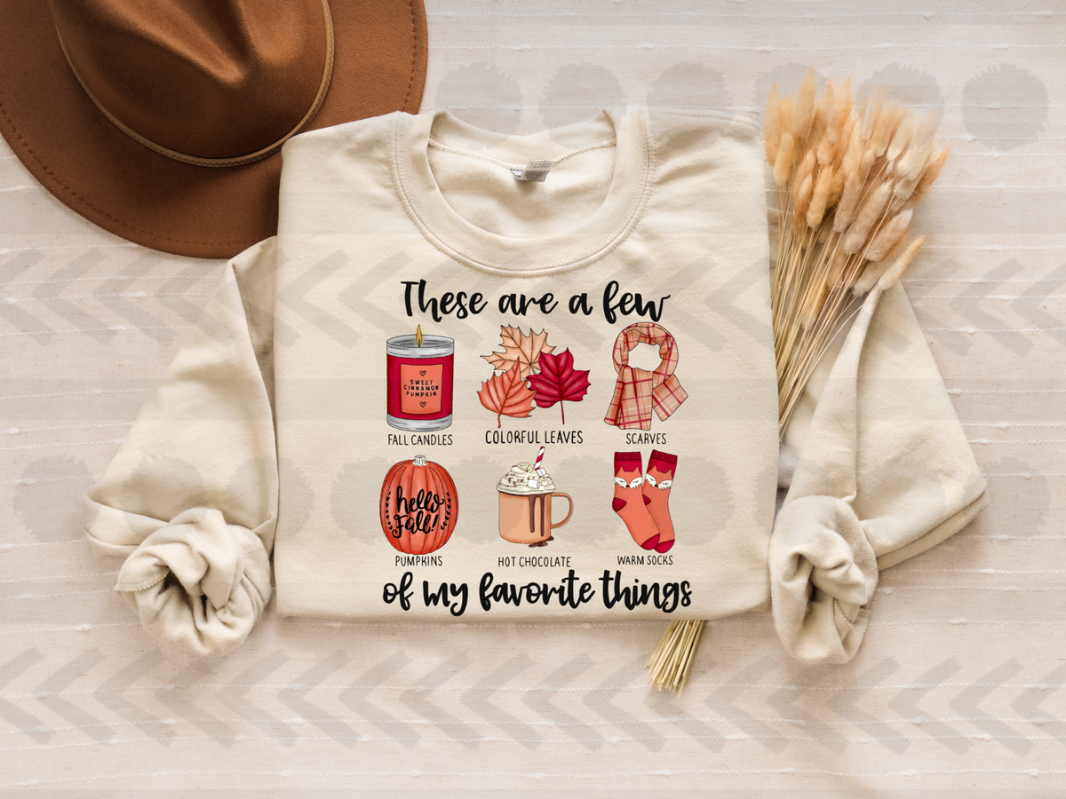 These are a few of my favorite things fall items 14794 DTF transfer