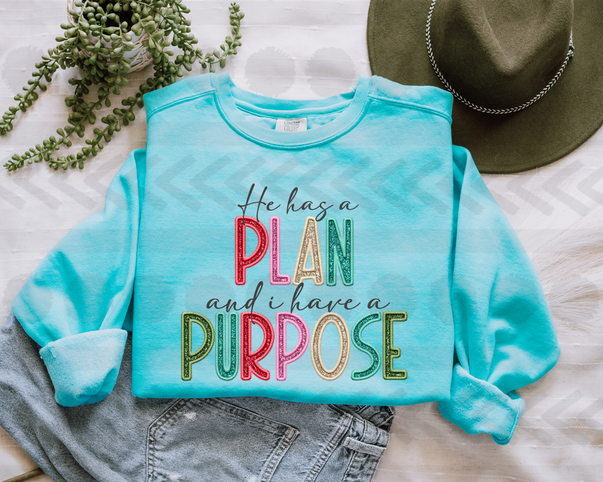 He has a plan and i have a purpose 18102  DTF transfer