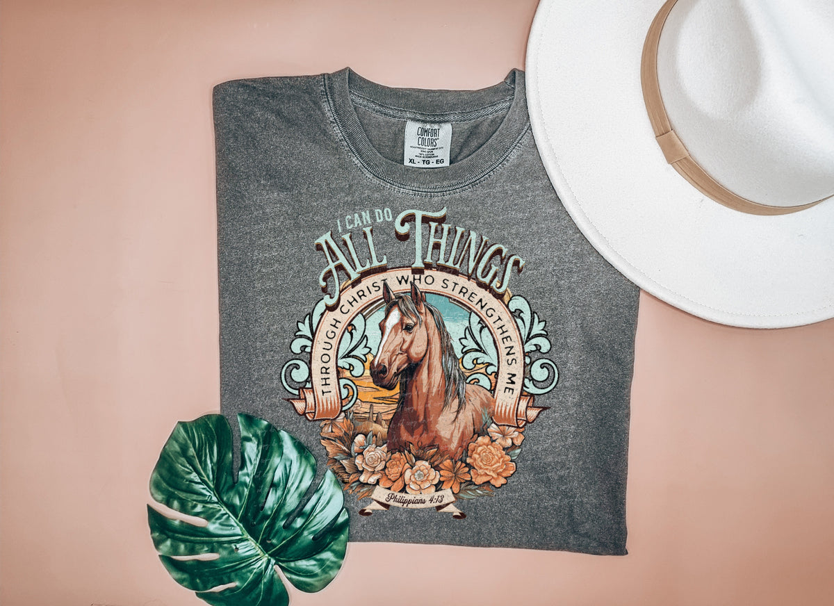 I can do all things through christ who strengthens me horse 18851 DTF transfer