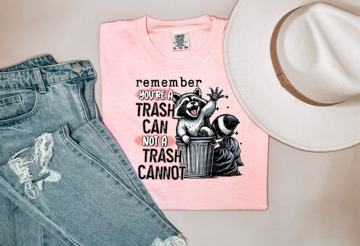 Remeber your a trash can not a trash cannot  22059 DTF transfer