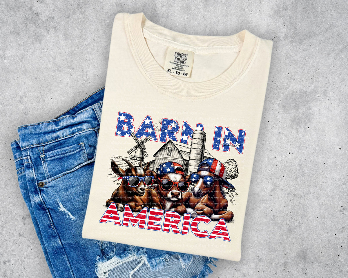 Barn in america cows 34082 DTF transfer