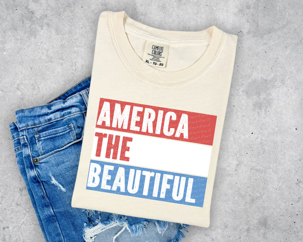 America the beautiful 34079 DTF transfer