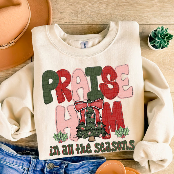 praise Him In All The Seasons (SDD) DTF transfer